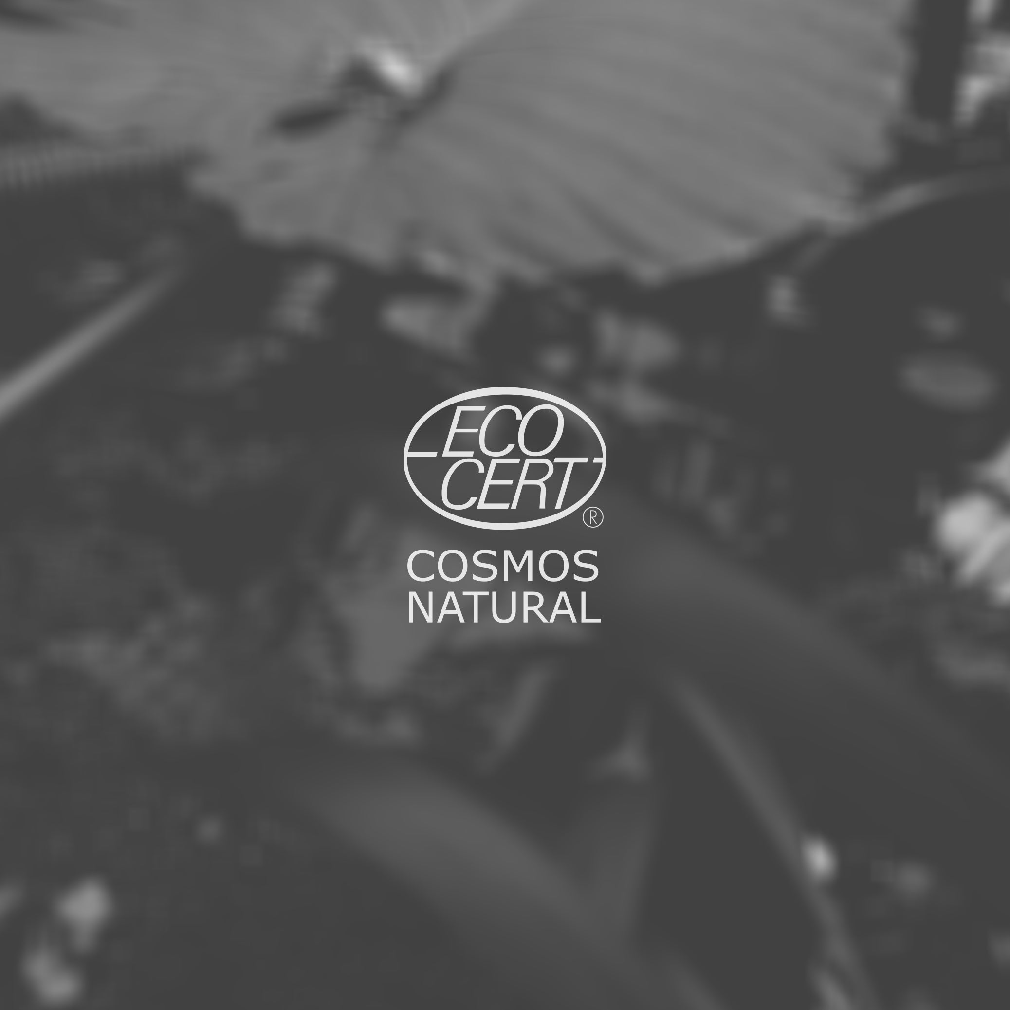 ECOCERT Cosmos Natural certificate logo