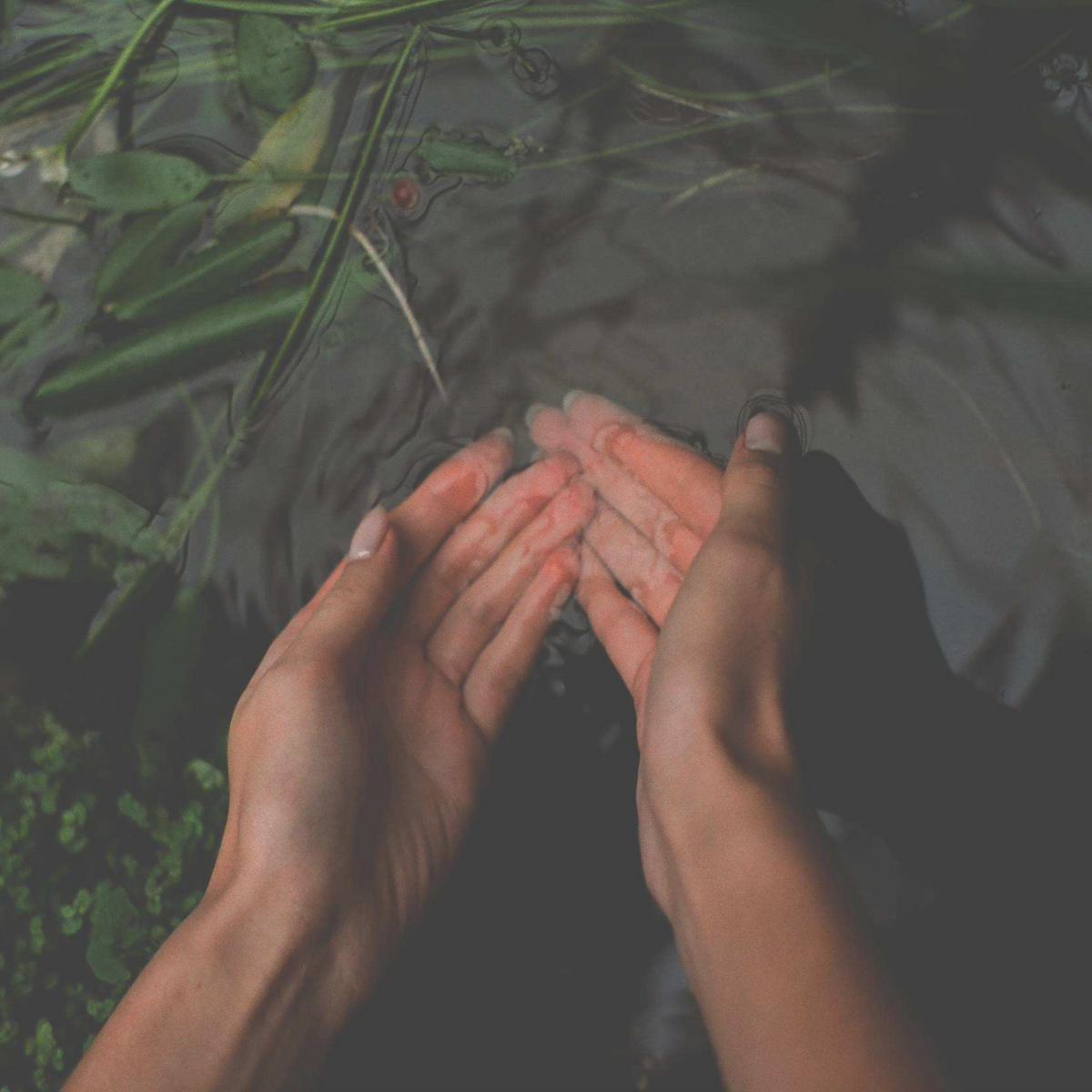 Daily body care - Vetiver